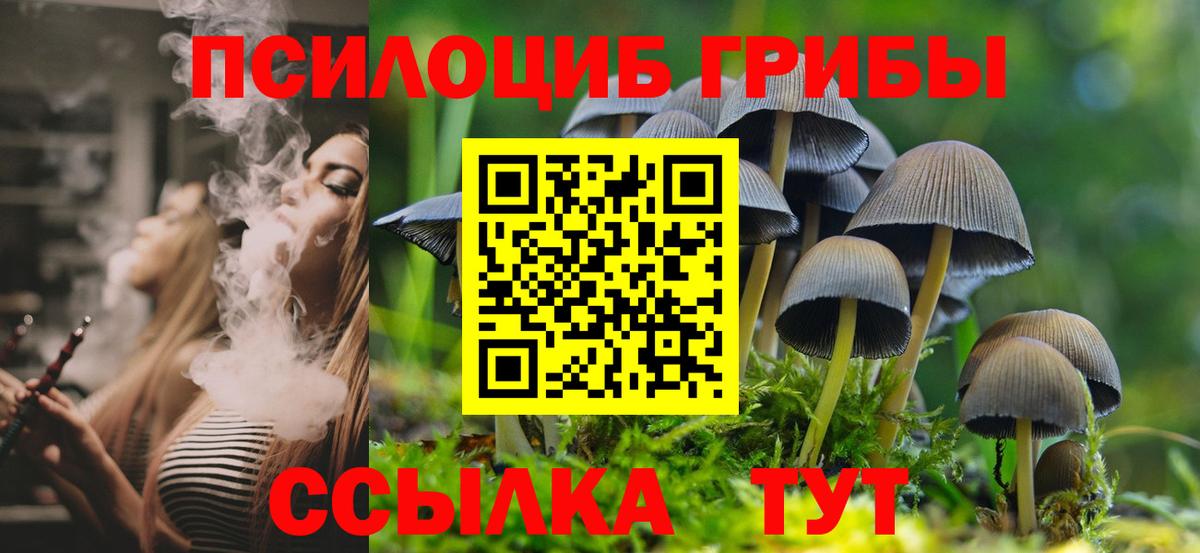 Галлюциногенные грибы ЛСД Отрадное